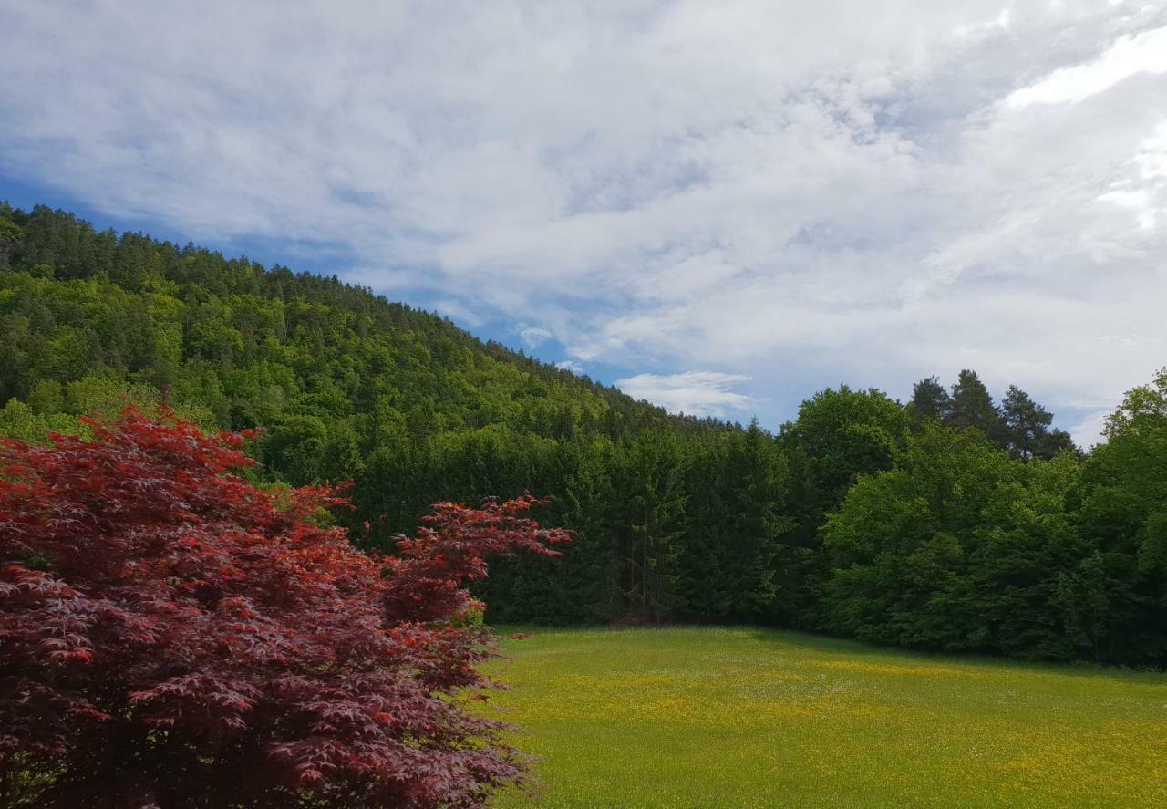 Hotel Garni Wurzer Velden am Wörthersee Esterno foto